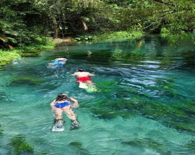 Hotel Michelle San Andrés Tuxtla Dış mekan fotoğraf